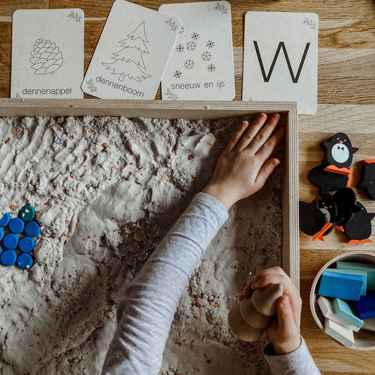 Winter flashcards - seizoenskaarten - Montessori