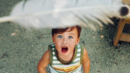 Montessori Key Principles: Absorbent Mind