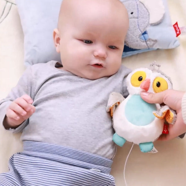 Soft Toys