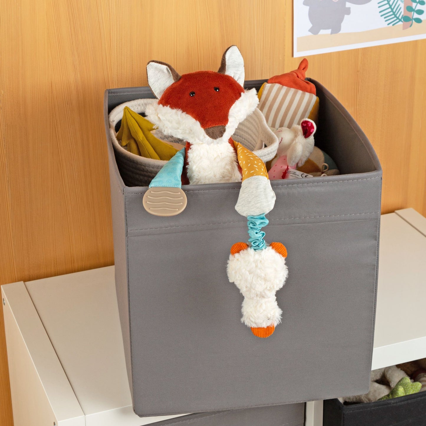 Renard Actif - 7 Sens