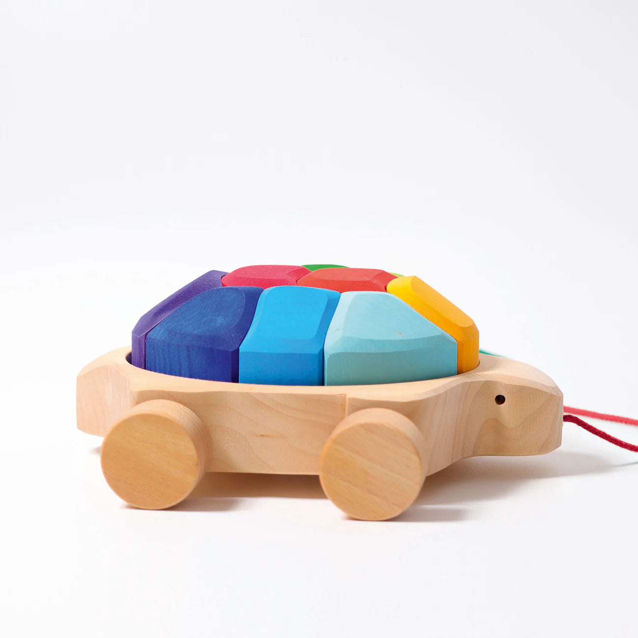 Rainbow Turtle Pull Along