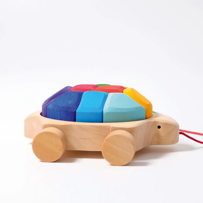 Rainbow Turtle Pull Along