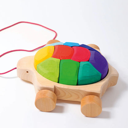 Rainbow Turtle Pull Along