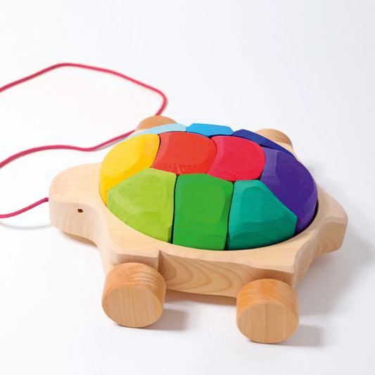 Rainbow Turtle Pull Along