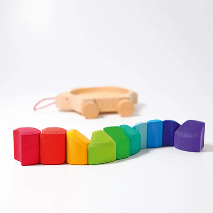 Rainbow Turtle Pull Along