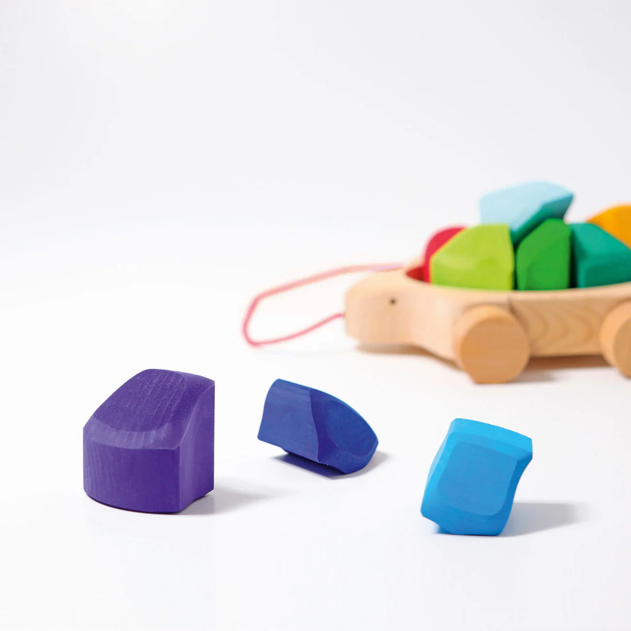 Rainbow Turtle Pull Along