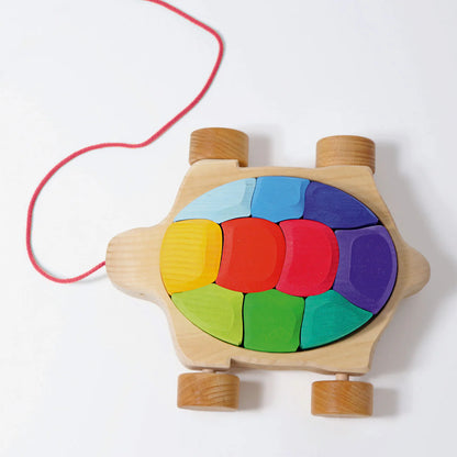 Rainbow Turtle Pull Along