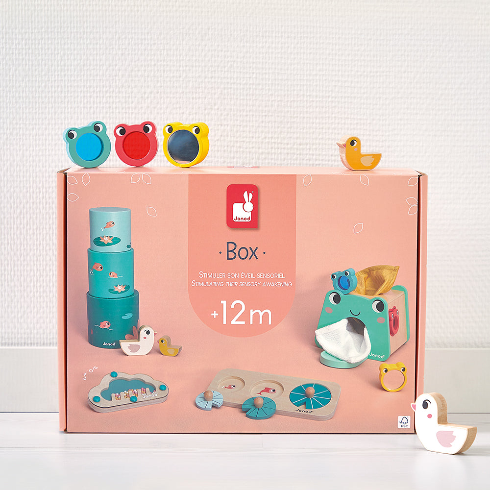 12 Months Box - Stimulating Their Sensory Awakening