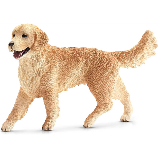 Hond golden retriever