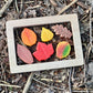 Sensory play stones - Leaves