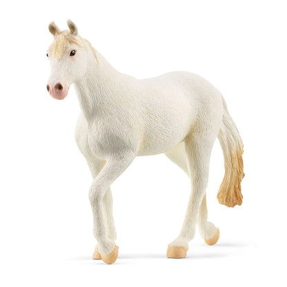 Camarillo Mare Horse