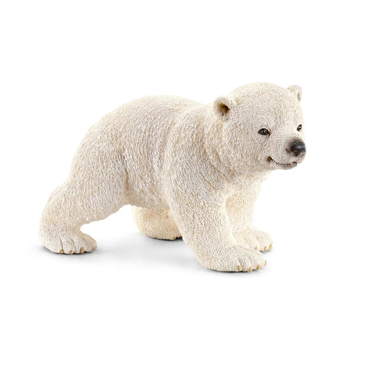 Polar Bear cub