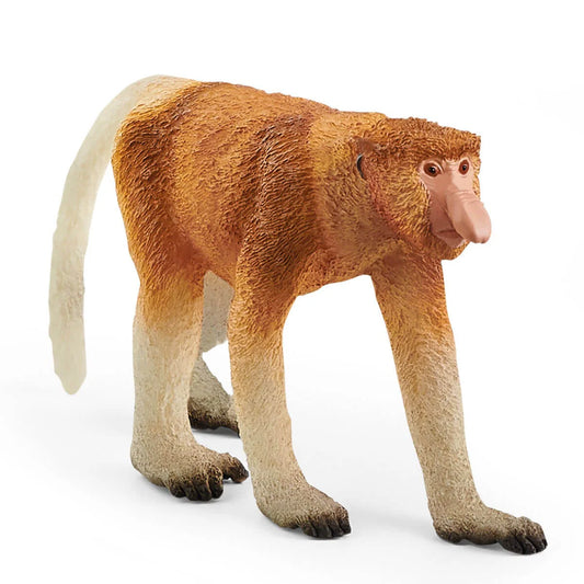 Long-nosed monkey