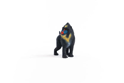 Mandril
