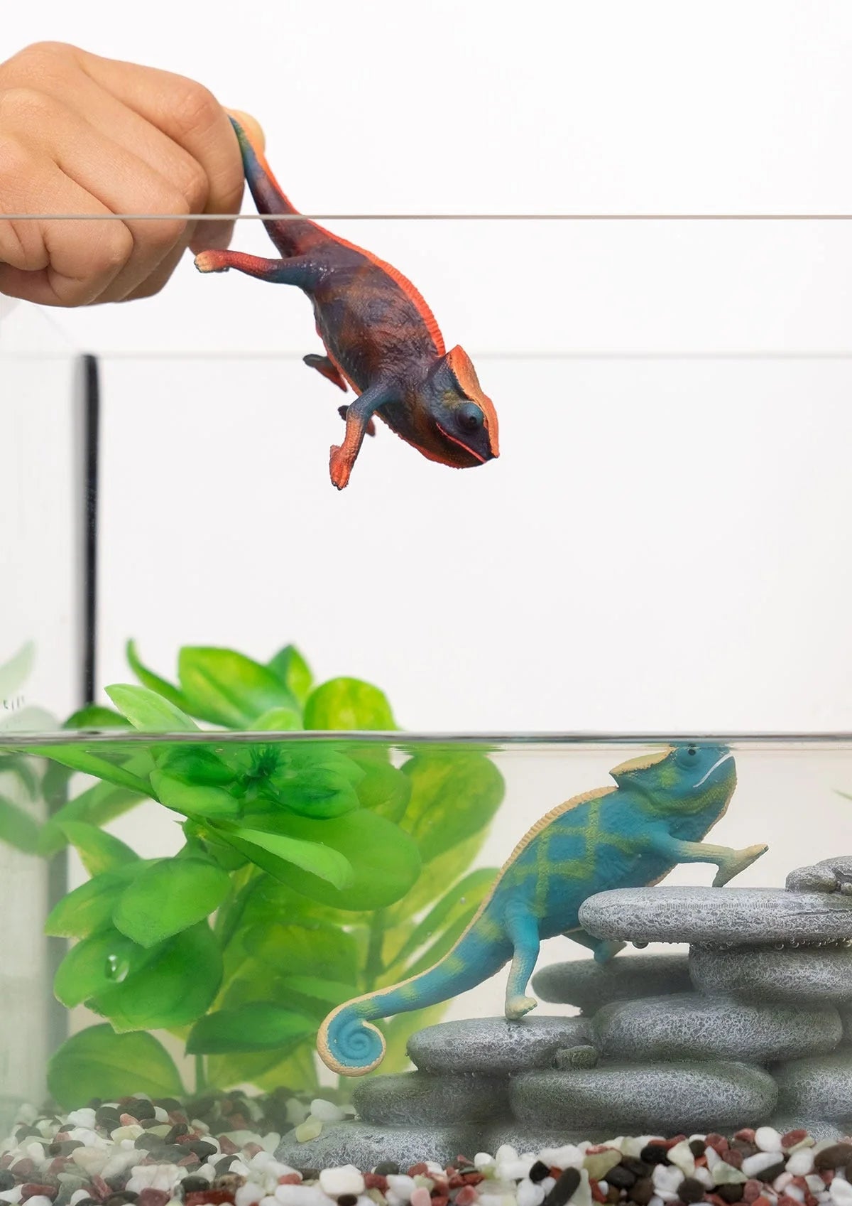 Caméléon