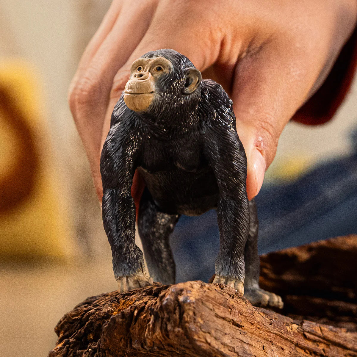Chimpansees