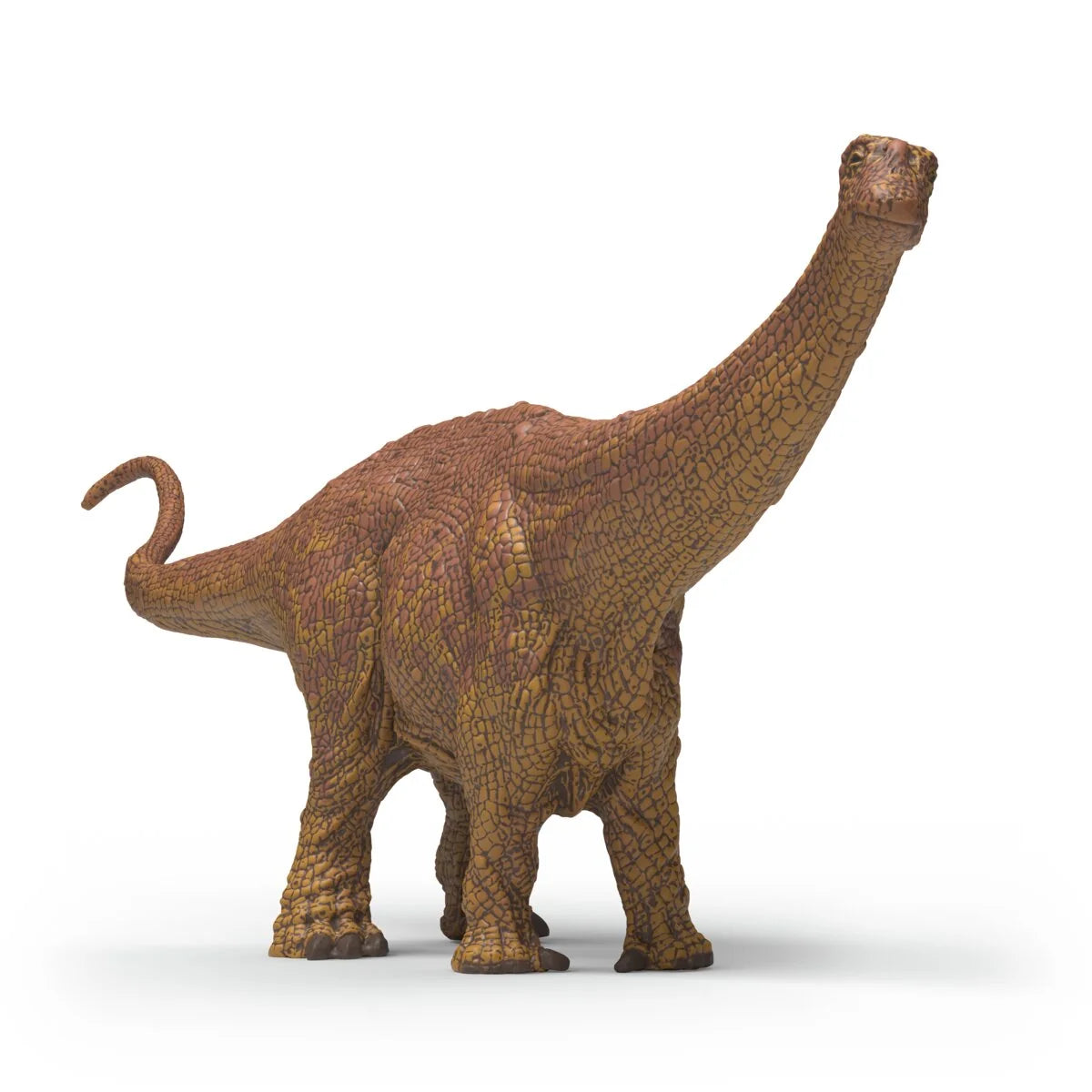 Brontosaure