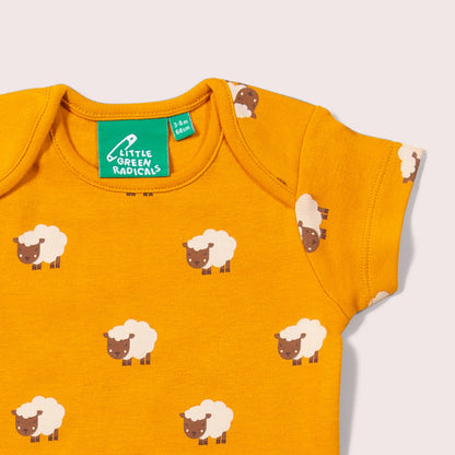 Lot de 2 bodies bébé bio « Counting Sheep »
