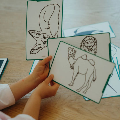 KIDYDRAW Mini Zeichentablett Tiere aus aller Welt