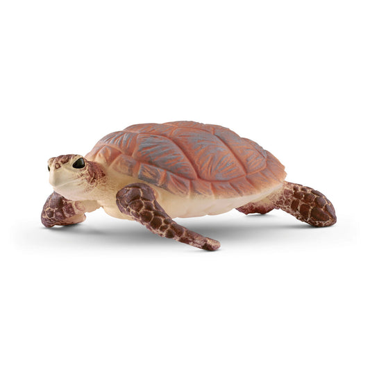 Sea turtle