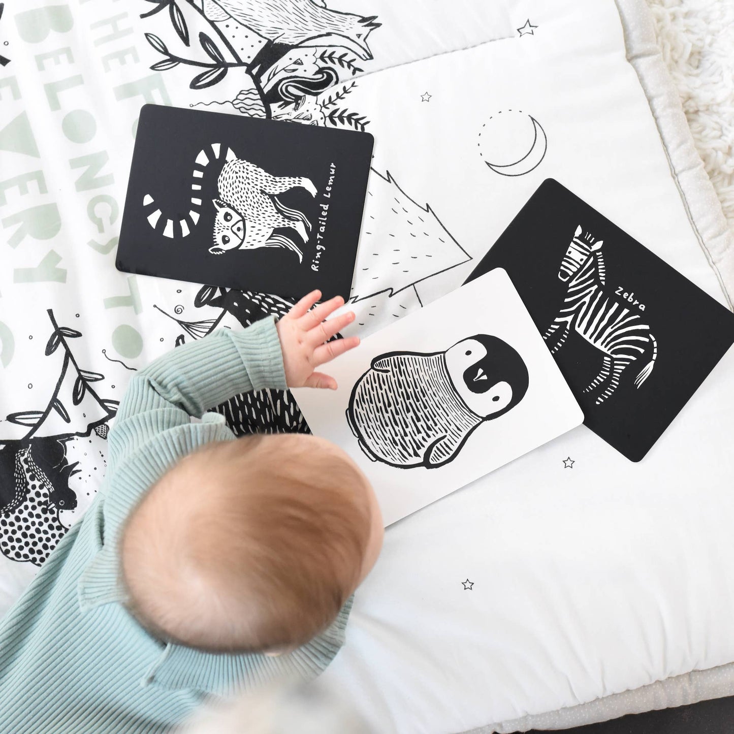 Little Naturalist Cadeauset - Zwart + Wit