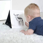 Baby-Bauchzeit-Galerie mit Spiegel
