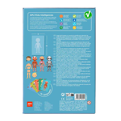 The Human Body magnets