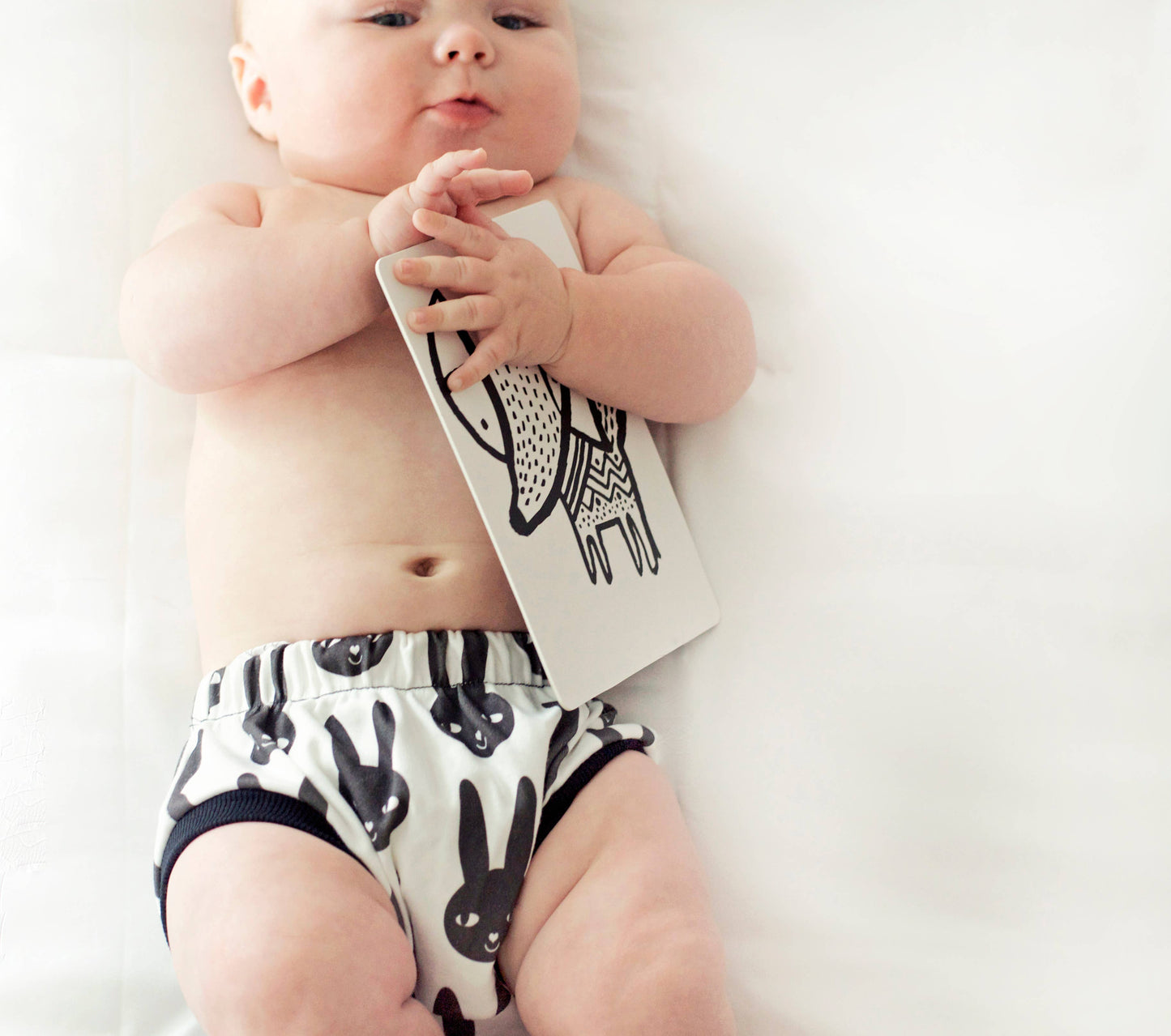 Art Cards for Baby - Woodland Animals - Infant Flash Cards