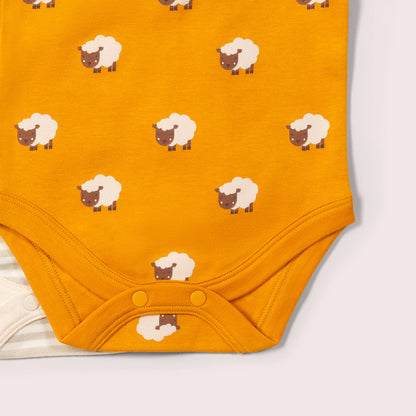 Lot de 2 bodies bébé bio « Counting Sheep »