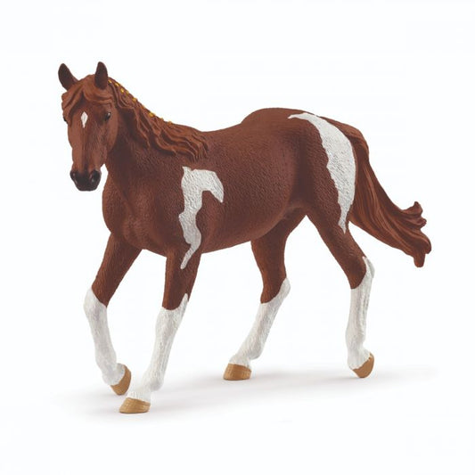 Paint Horse-merrie