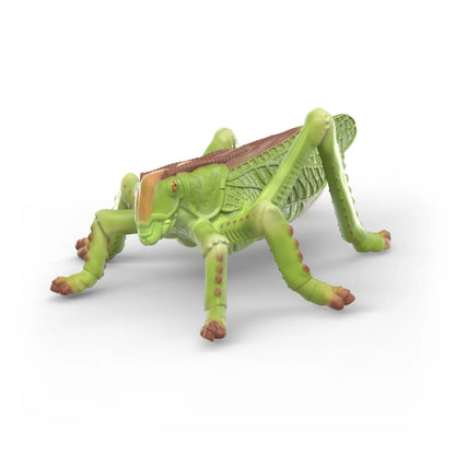 Schleich Insects Discovery Set