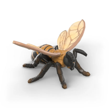 Schleich Insects Discovery Set