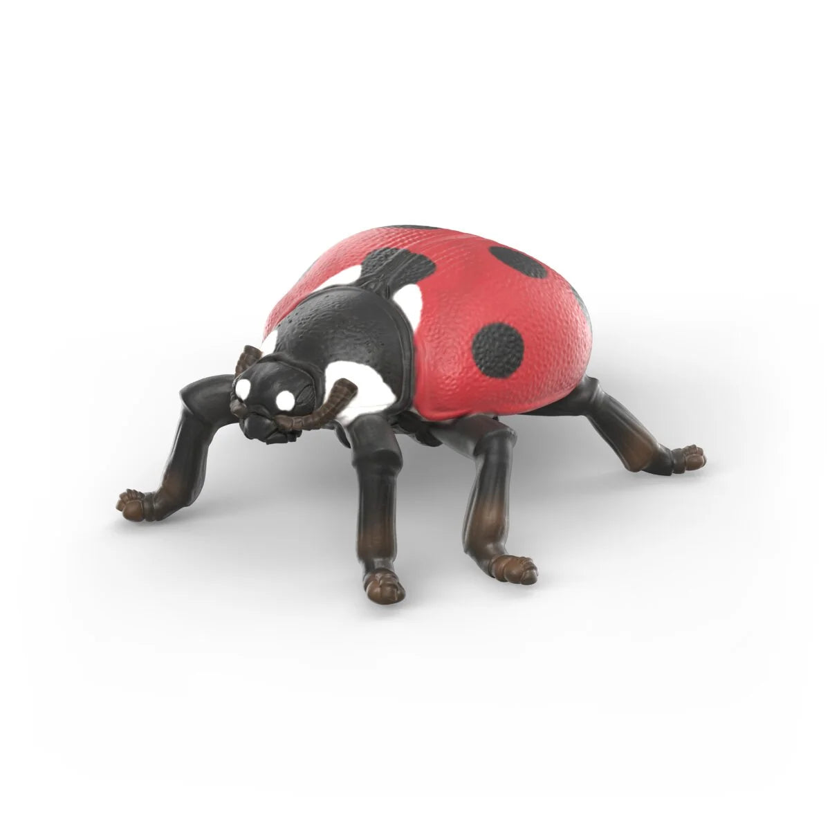 Schleich Insects Discovery Set