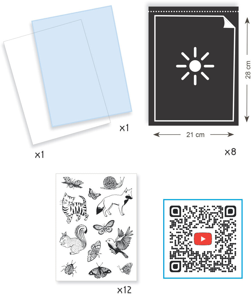 Cyanotype Starter Kit