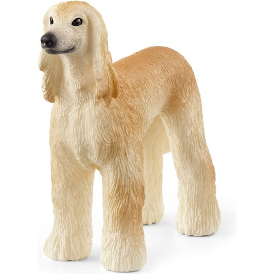 Dog Afghan hound