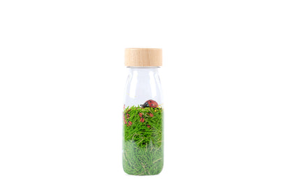 Sensory Bottle - SOUND BOTTLE Ladybirds