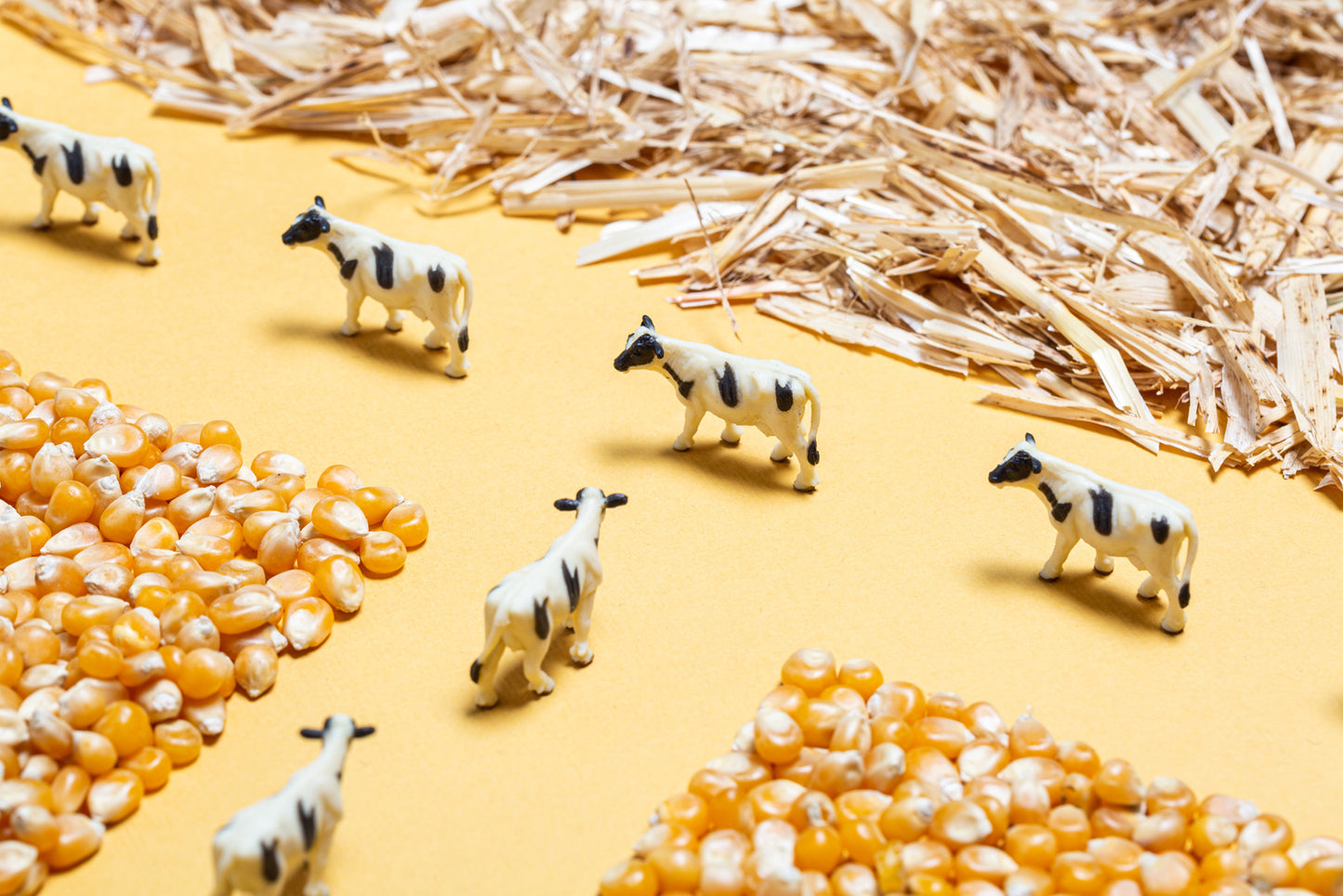 Sensory Bottle - Farm