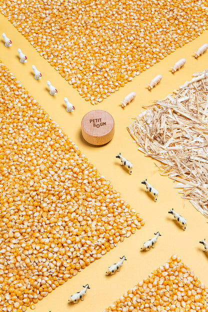 Sensory Bottle - Farm