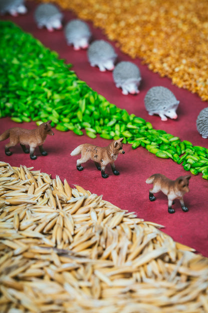 Sensory Bottle - Forest