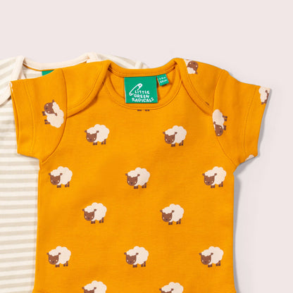 Lot de 2 bodies bébé bio « Counting Sheep »