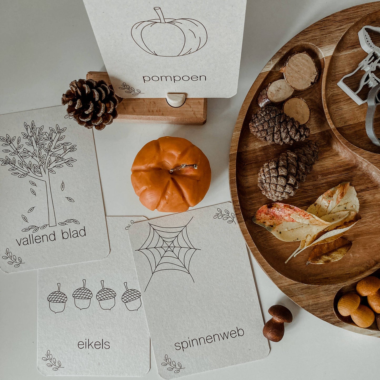 Autumn flashcards - learn about the season while playing - Montesso