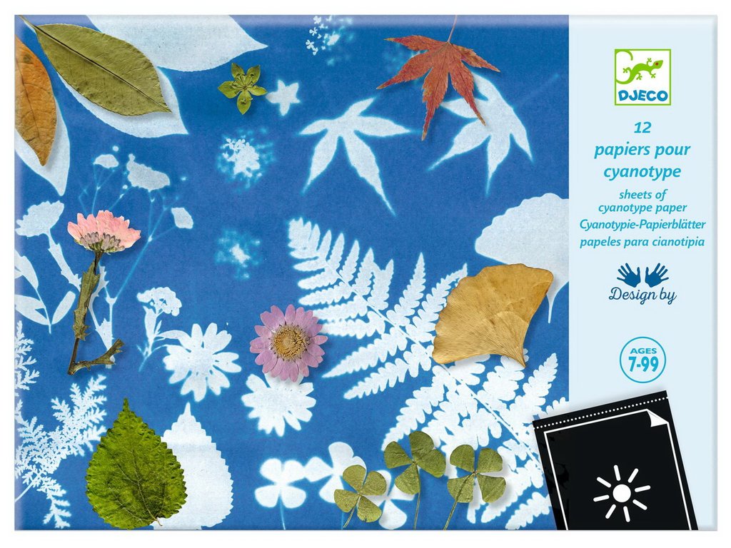 Cyanotype paper sheets