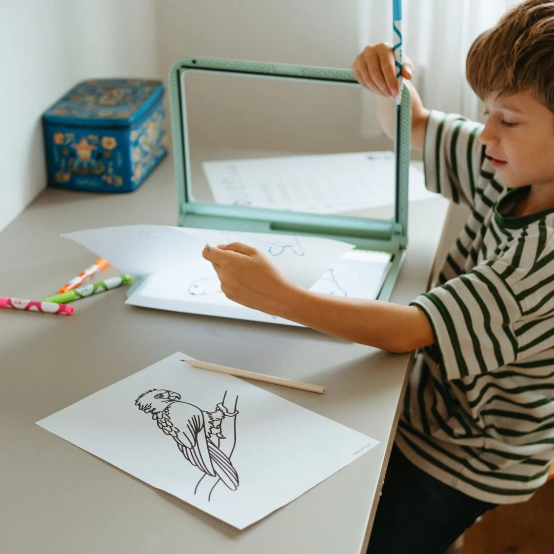 Kidydraw Pro