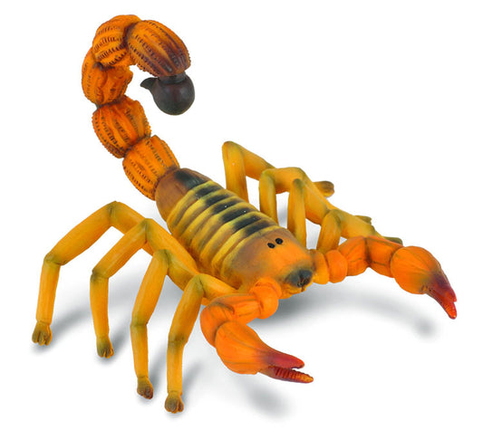 Yelllow Fat-Tailed Scorpion