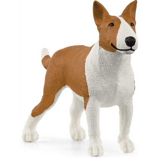 Hond bullterriër