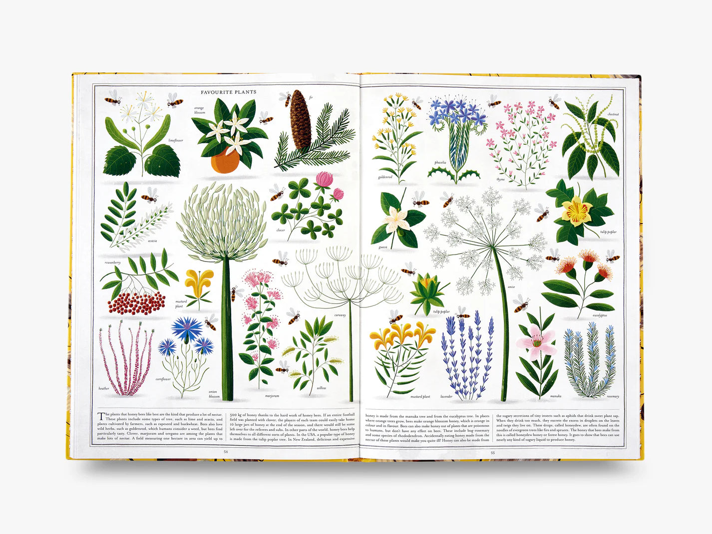 Het boek van de bijen