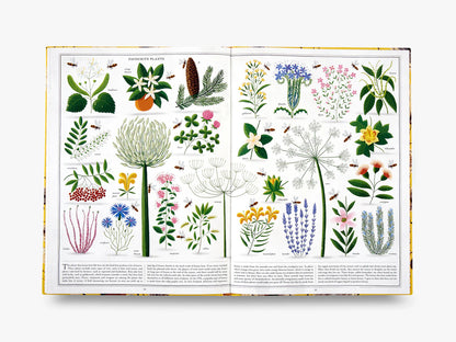 Het boek van de bijen