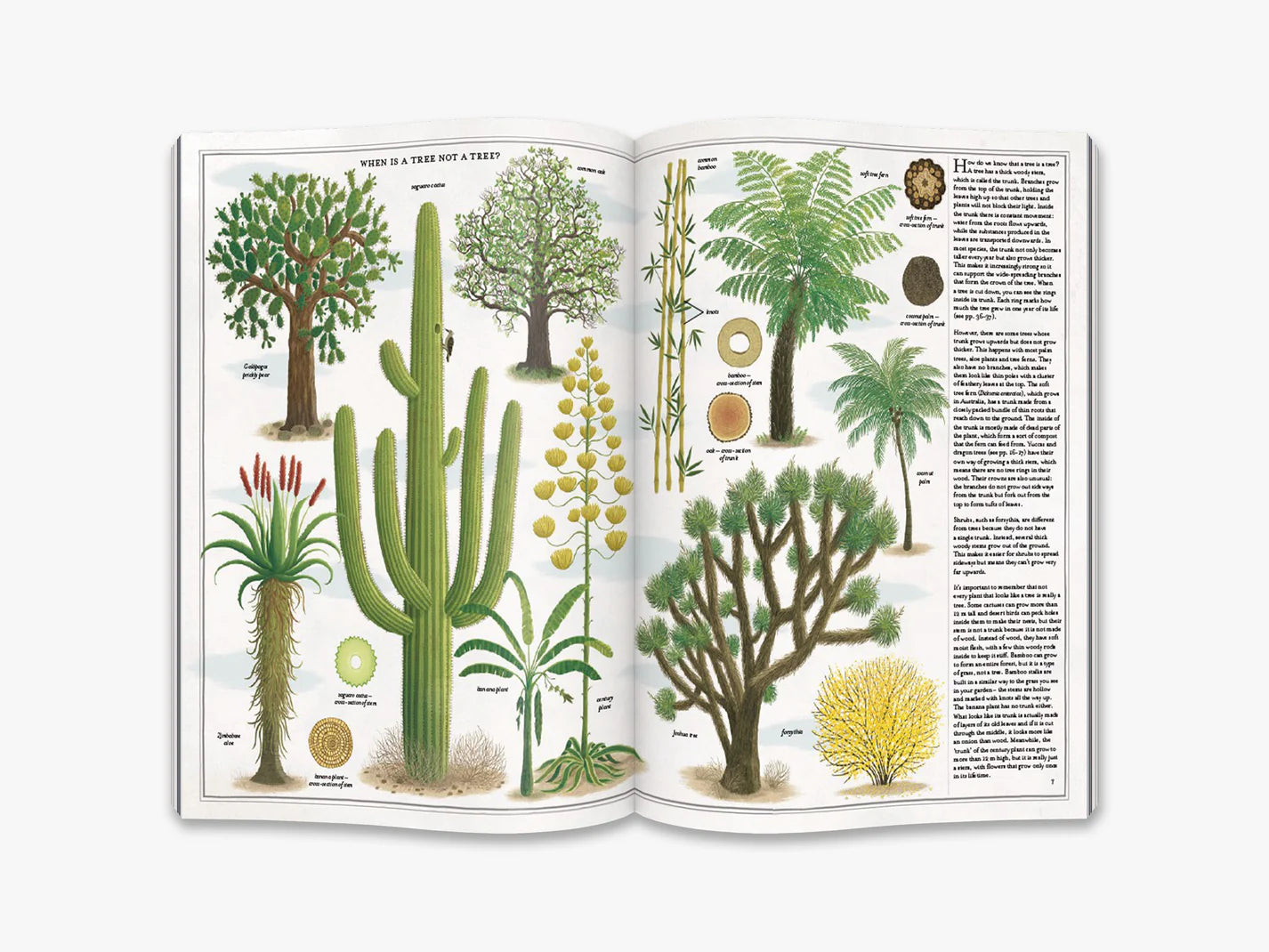 Het boek van bomen