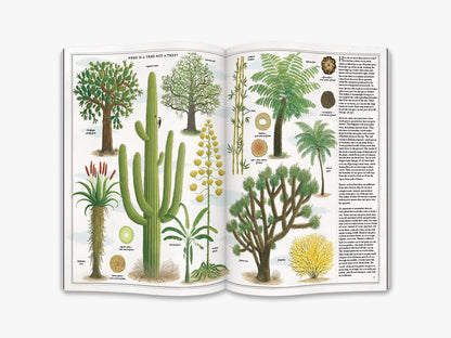 Het boek van bomen