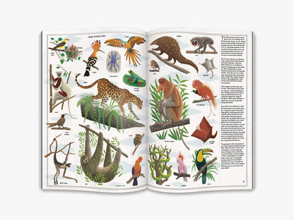 Het boek van bomen